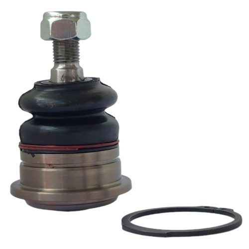 Rótula NA6003